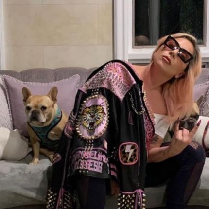 skynews-lady-gaga-dogs_5284941.jpg