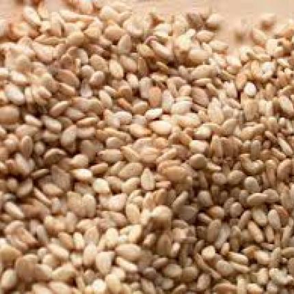 Πειραιάς: Βρήκαν σαλμονέλα σε τεράστιο φορτίο σουσαμιού!