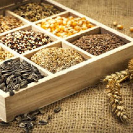 3η Γιορτή Σπόρων στον Πύργο 