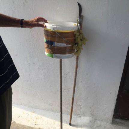 σταφυλοκοφτης