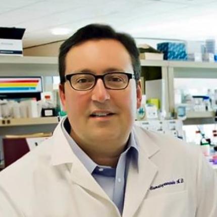 Ανακάλυψη δεύτερου «κρυμμένου» κώδικα μέσα στο DNA από έλληνα επιστήμονα