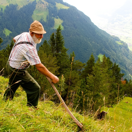 swiss_farmer.png