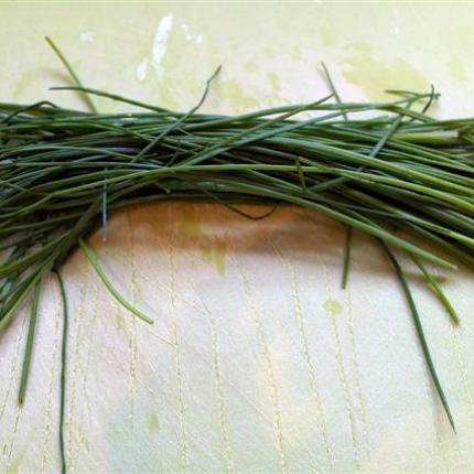 Σχοινόπρασο: Το "ταπεινό" βότανο που προστατεύει από τον καρκίνο