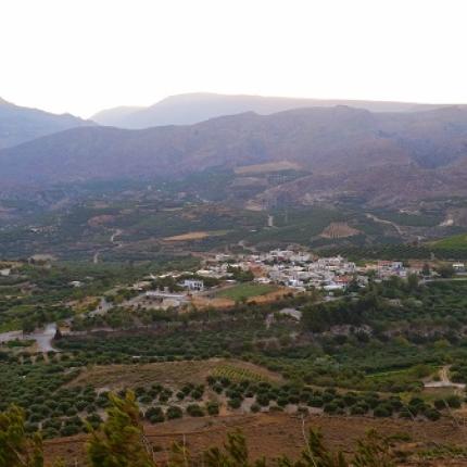 Συκιά Ιεράπετρας