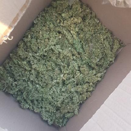 η ποσότητα της κάνναβης που κατασχέθηκε