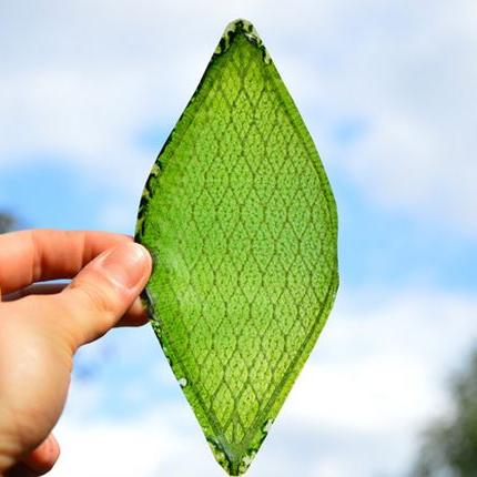 Το πρώτο τεχνητό φύλλο είναι γεγονός!