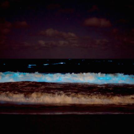 διασωση θαλασσα