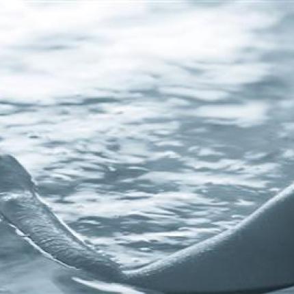 Θαλασσοθεραπεία: "Το αλάτι" της ζωής