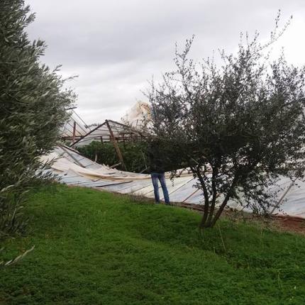 θερμοκηπιο