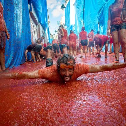 tomatina1.jpg