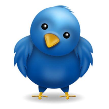 Το twitter .. επανήλθε στην Τουρκία