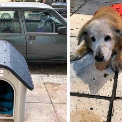 το σπιτάκι που τοποθέτησε ο Δήμος Αθηναίων για την Κανέλα.jpg