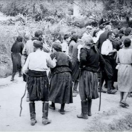 ροταριανός όμιλος βιάννος