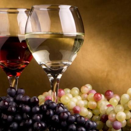 "Μήνας Ελληνικού Κρασιού" στο Μόντρεαλ