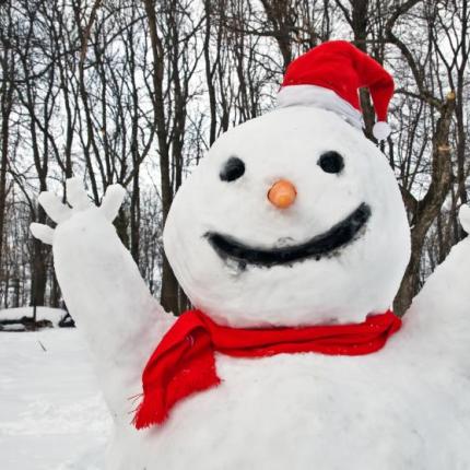 Έρευνα: Το κρύο αδυνατίζει!