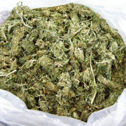 Ηράκλειο: Προσωρινά κρατούμενοι οι δύο νεαροί με το χασίς