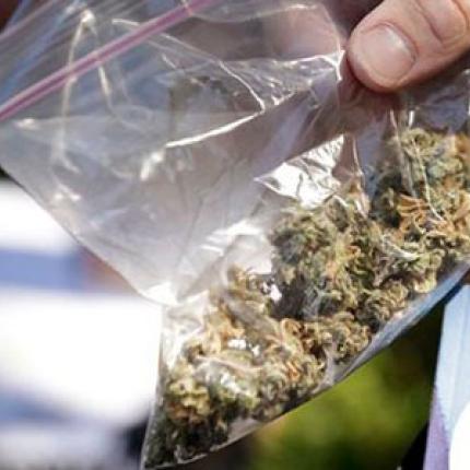 Λασίθι: Έκρυψαν το χασίς σε χωράφι αλλά φεύγοντας έπεσαν πάνω στους αστυνομικούς