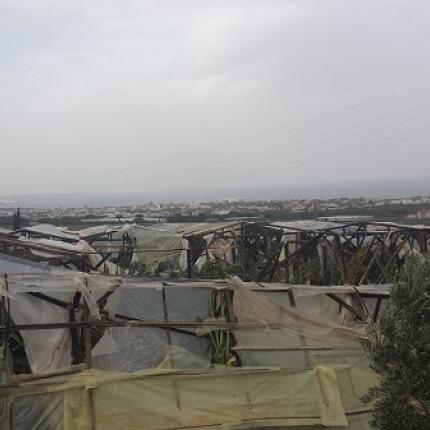 Σοβαρές ζημιές σε θερμοκήπια και καλλιέργειες στη Χερσόνησο από τους ανέμους (φωτο)