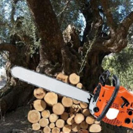 Τραγικό ατύχημα στο Λέντα - 47χρονος έκοψε το πόδι του και ξεψύχησε