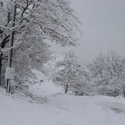 Κλειστά τα σχολεία στη Βιάννο ... λόγω χιονιά
