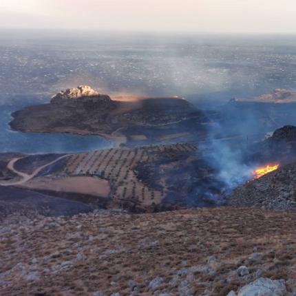 Φωτογραφία - Λευτέρης Σπυριδάκης
