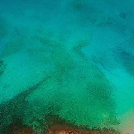 Χρυση (σαράντος)