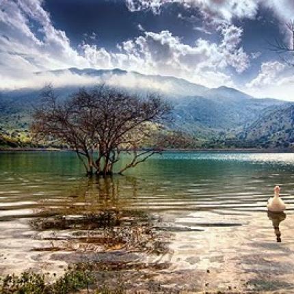 Δράση στο Λασίθι για τον εορτασμό της ''Παγκόσμιας Ημέρας Υγρότοπων''