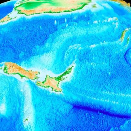 zealandia.jpg