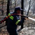 Προφυλακίστηκε άνδρας για τις πυρκαγιές στον Καρέα Αττικής