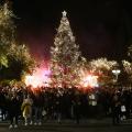 χριστουγεννιάτικο δέντρο στο Σύνταγμα