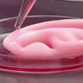 3d-bioprinting