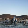 Εύβοια: Εντοπίστηκε πτώμα να επιπλέει στη θάλασσα