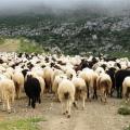 Ξεκίνησε η καταβολή της εξισωτικής αποζημίωσης του 2014