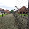 auschwitz-.jpg