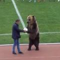 bear-russia.jpg