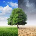 climatic-change.jpg
