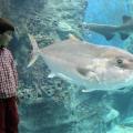 cretaquarium.jpeg