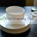 Σπιτικό, οικονομικό και οικολογικό απορρυπαντικό πιάτων 