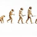evolution2.jpg