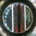 ferrocell_microscope_pic1.jpg