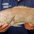 fish251019.jpg