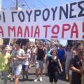 Στη Βουλή το θέμα με τις "γουρούνες" στα Μάλια