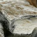 Αθήνα: Εξιχνιάστηκε κύκλωμα με μεγάλη ποσότητα ηρωίνης 