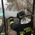 italoi_pyrosvestes.jpg