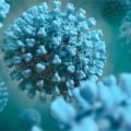 κορωνοϊός