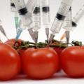 "Ανοίγει ο δρόμος για την καλλιέργεια γενετικά τροποιημένων τροφίμων"