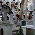'Εθαψαν ζωντανή μια 49χρονη στη Θεσσαλονίκη