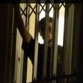 Το επίμαχο κείμενο των καθηγητών για το Νίκο Ρωμανό που έκανε άνω κάτω τη Βουλή