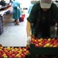 Αίρεται το ρωσικό εμπάργκο για ορισμένα τρόφιμα από δυτικές χώρες