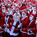 santarunchania.jpg
